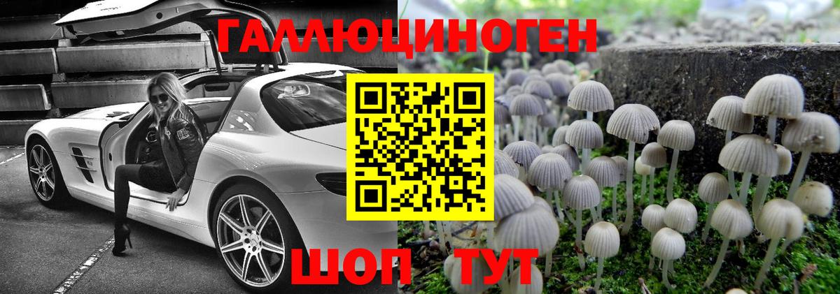 Галлюциногенные грибы ЛСД  Псилоцибиновые грибы Psilocybe  Вход с VPN  Новочеркасск 