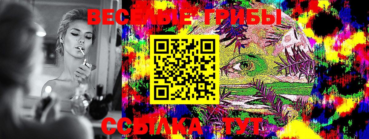 Галлюциногенные грибы прущие грибы Новочеркасск